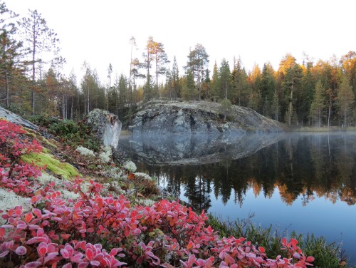 vesennie prikljucheniya v karelii