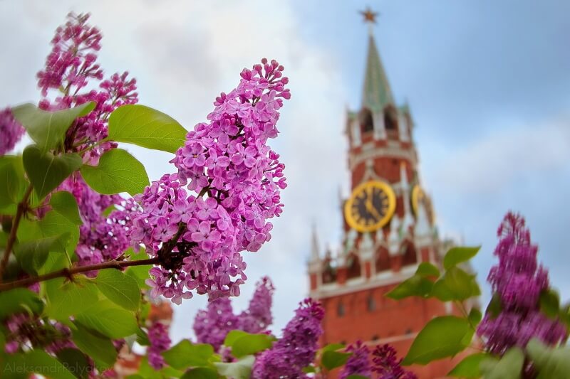 majskie prazdniki moskva